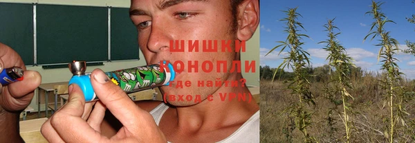 гашик Каменск-Шахтинский