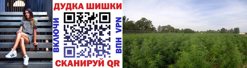 Марихуана SATIVA & INDICA  Муром 